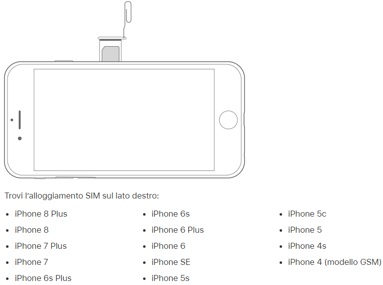 Сколько esim в iphone